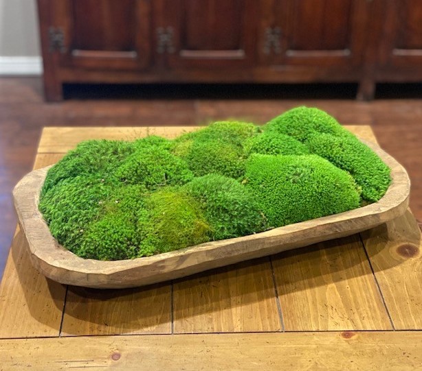 Moss Medium Carved Bowl